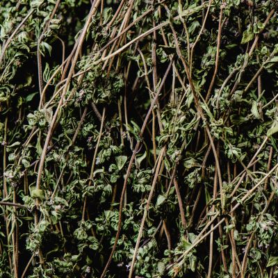 avatar image of sprigs of thyme